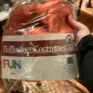 Wilma Flintstone Women costume